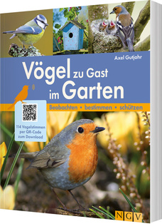 Vögel zu Gast im Garten